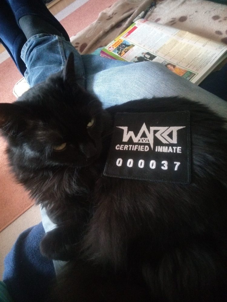 inmate 000037