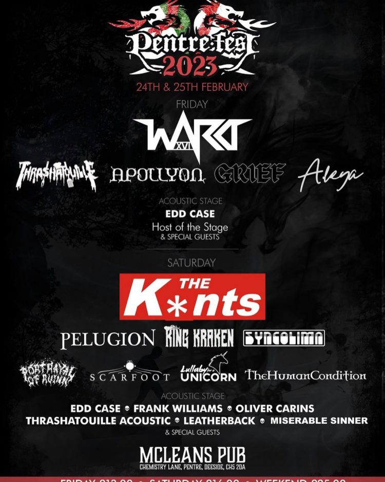 Ward XVI announced as Friday night headliners at Pentrefest 2023 – Ward XVI